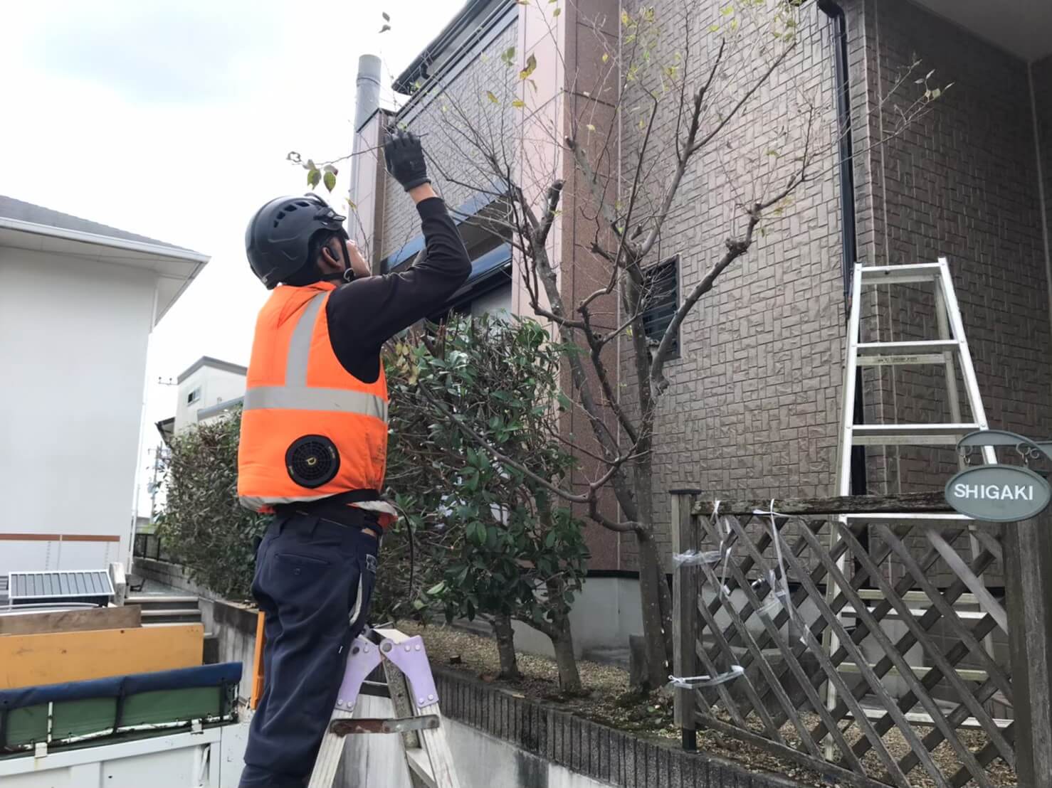 アプローチや外壁、隣にある水栓柱、そしてレッドロビンとの間隔を見ながら作業を進める田嶋